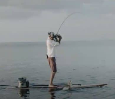 SUP Fishing – Cómo sacarle el máximo partido a tu tabla